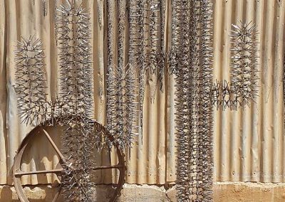 cactus-close-up-nature-in-metal